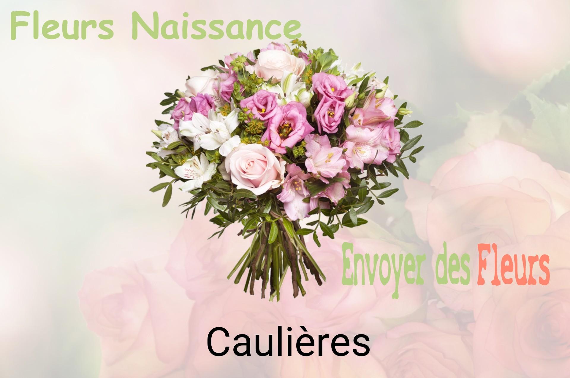 Bouquet de fleurs de naissance livré à Caulières