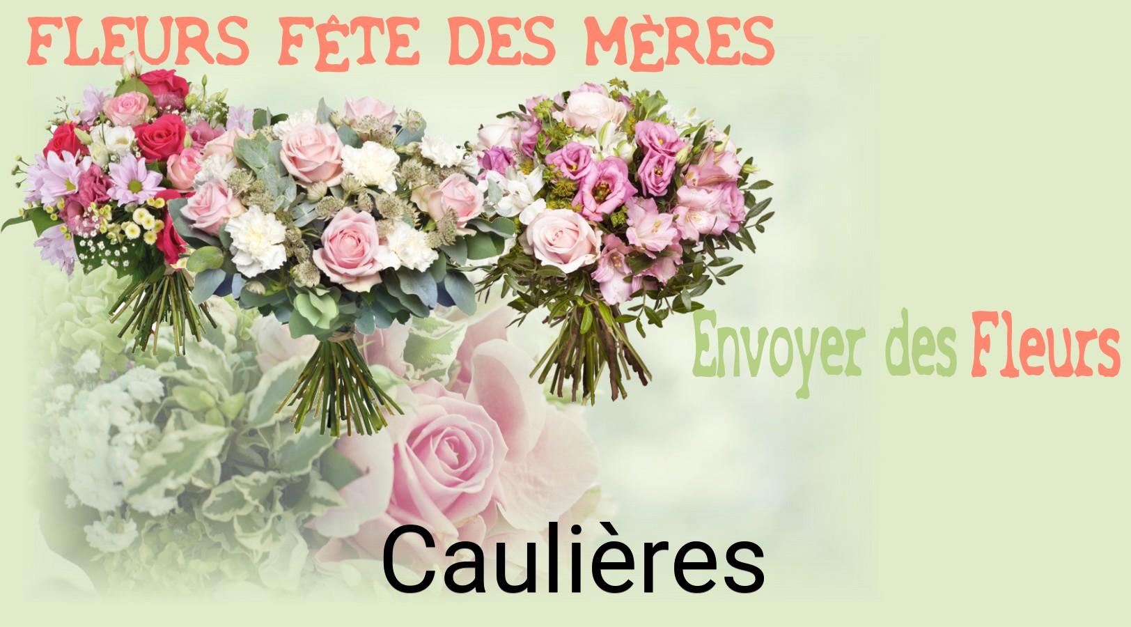 Bouquet de Fête des Mères livré à Caulières